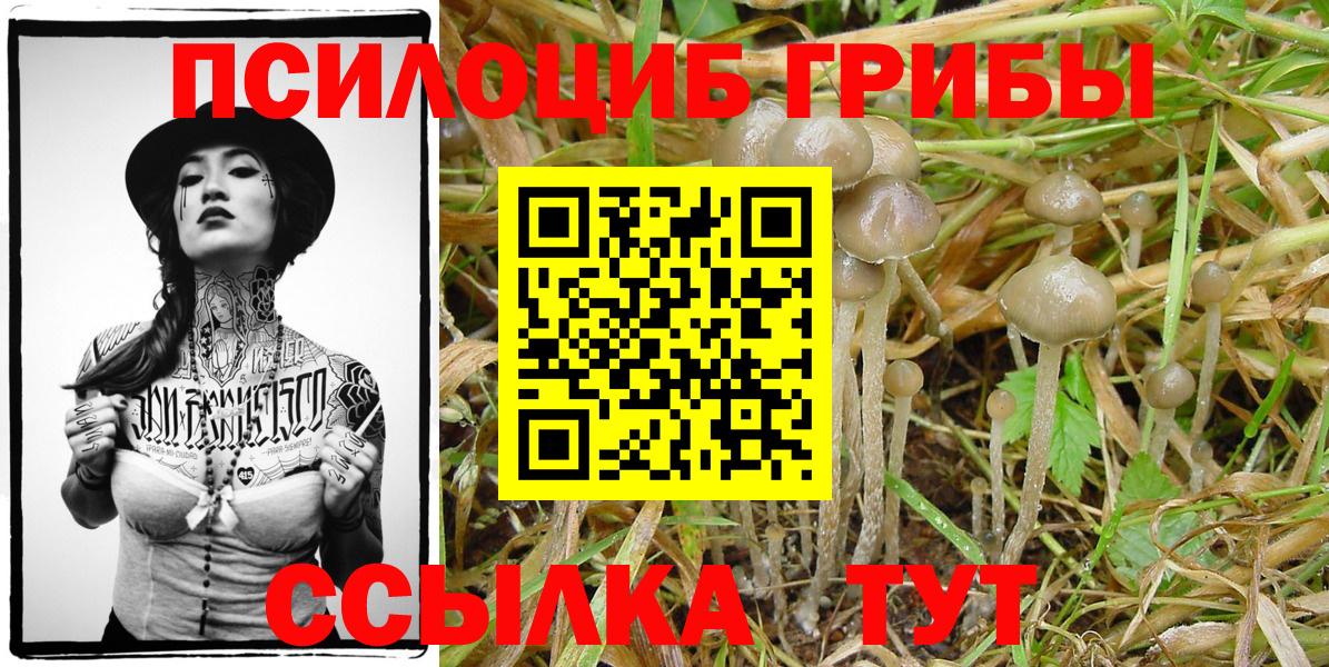 Галлюциногенные грибы прущие грибы Можга