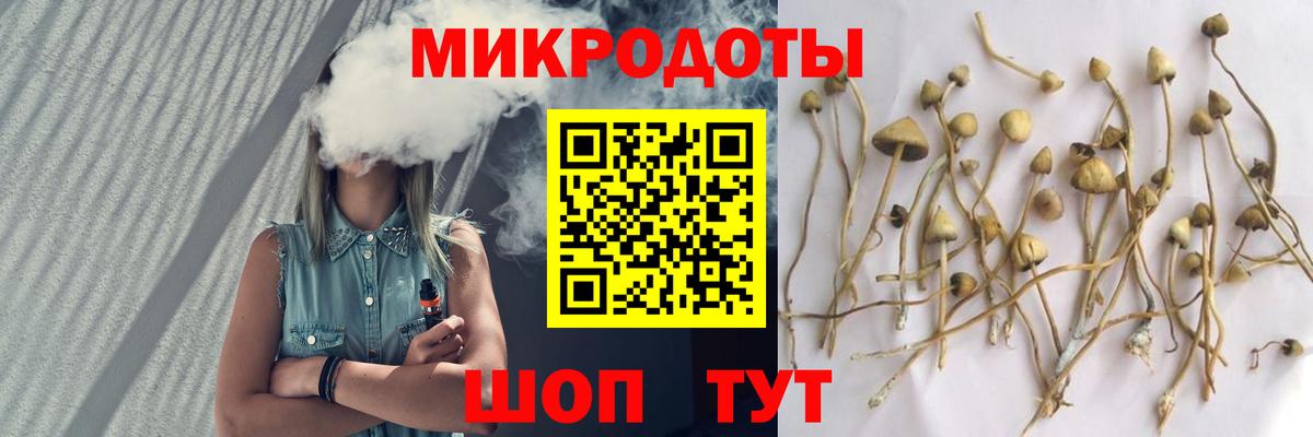 Можга  Галлюциногенные грибы GOLDEN TEACHER  Вход с VPN  Галлюциногенные грибы мухоморы 